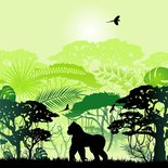 Paneel Wild Shadow apen