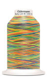 Gütermann Bulky-Lock Multicolour 9822